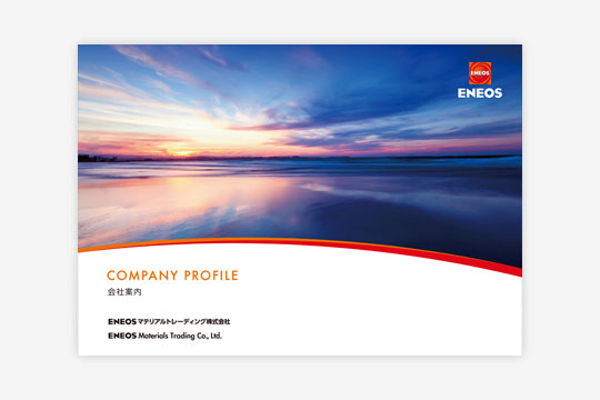 Company Brochure
